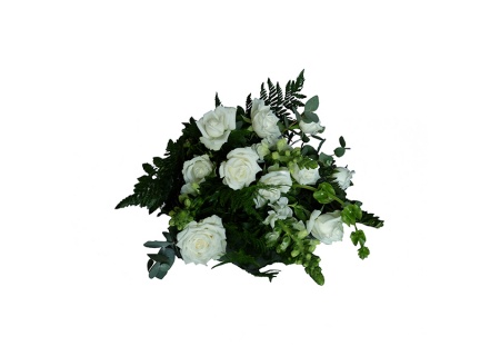 bd009