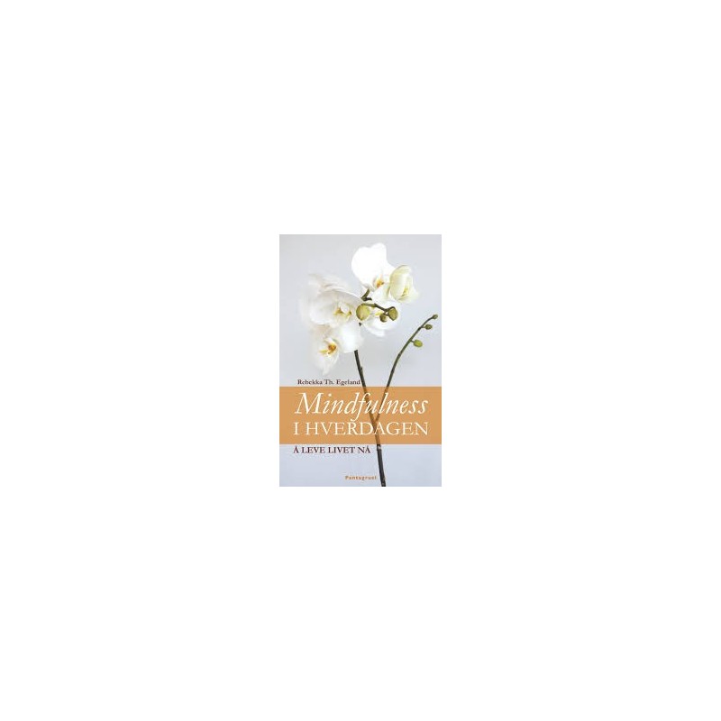 Mindfulness i hverdagen