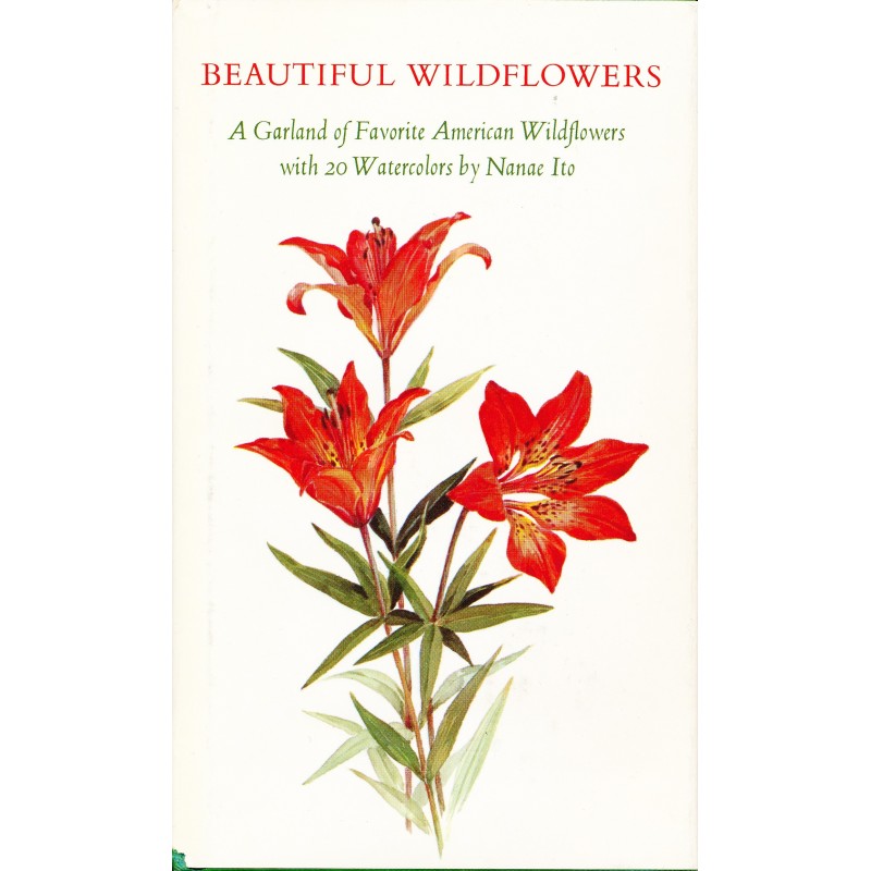 Beautiful wildflowers