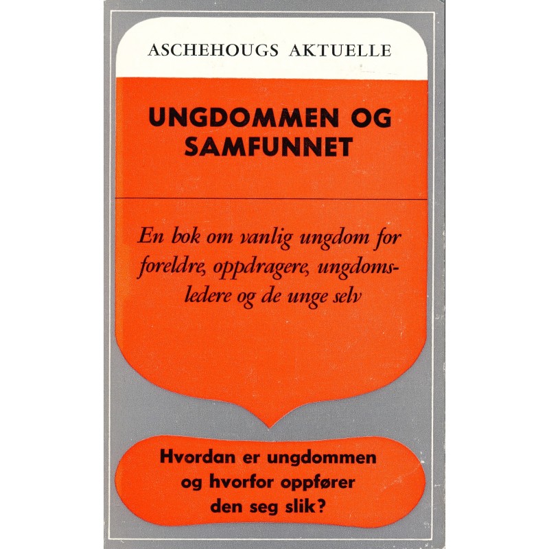 Ungdommen og samfunnet