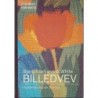Billedvev