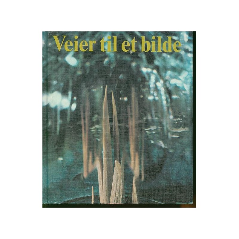 Veier til et bilde