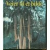 Veier til et bilde