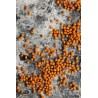 Blokksåpe Altum Amber 80 gr