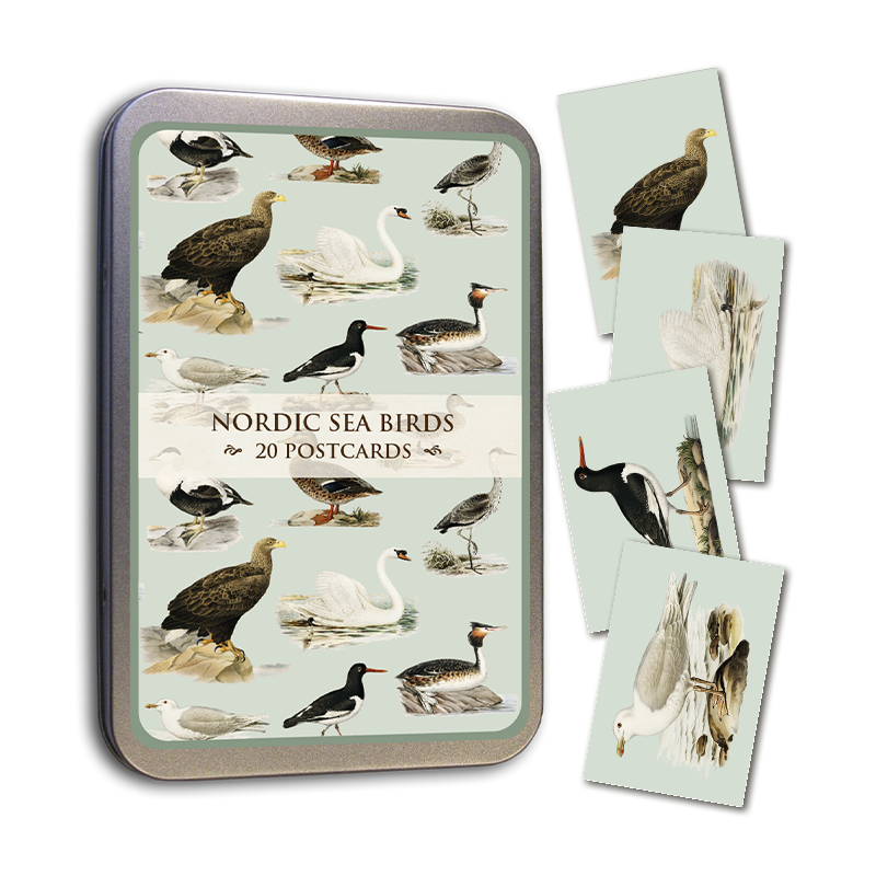 Postkort i blikkboks 10x15cm nordiske sjøfugler
