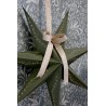 Papirstjerne uten ledning 60cm olivenfarget