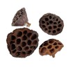 Lotus pris pr stk 3-5cm i diameter