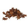 Stjerneanis pr stk