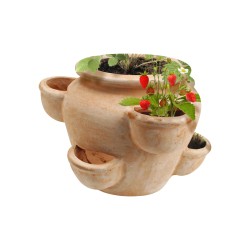 Galinio jordbærpotte i terakotta 39x36