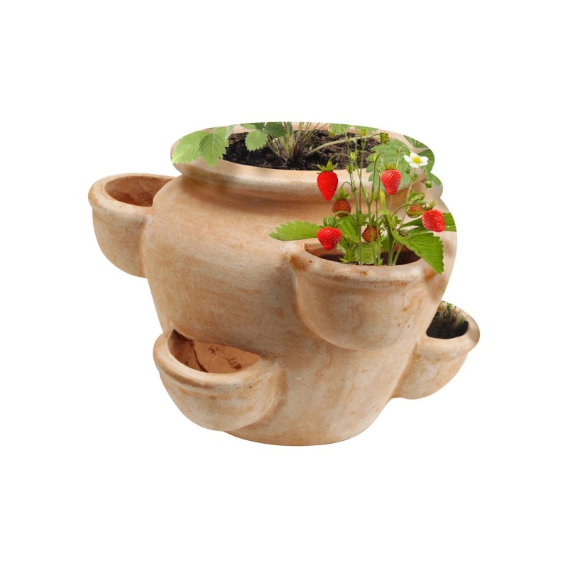Galinio jordbærpotte i terakotta 39x36