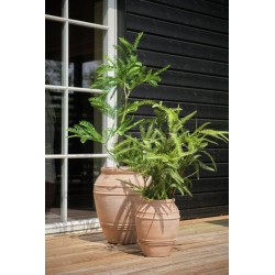 Niro pottesett m 2 terakotta D25-41 H32-49