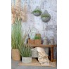 Fat med blondekant sett m 3 1,5x48,5x17cm